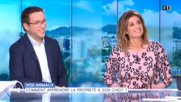 Le pull rose léopard de Caroline Ithurbide dans William à midi du 04/12/2018