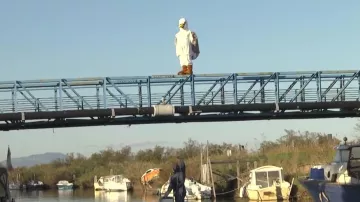 The disguise of a seagull Rémi Gaillard in his video Anymal