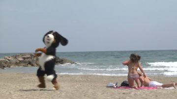 The costume of the dog Remi Gaillard in YouTube video ANYMAL