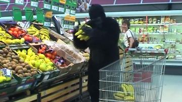 The costume of the gorilla Remi Gaillard on his YouTube video ANYMAL