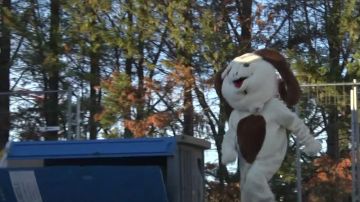 The disguise of aries Remi Gaillard on his YouTube video ANYMAL