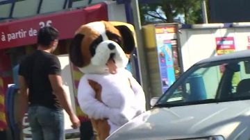 The costume of the dog by Remi Gaillard on his YouTube video ANYMAL