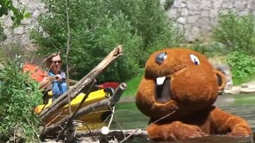 The costume of beaver Rémi Gaillard in his YouTube video ANYMAL