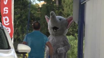 The costume elephant Remi Gaillard on his YouTube video ANYMAL