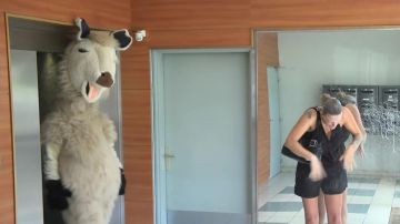 The disguise of mascot lama Rémi Gaillard in the YouTube video ANYMAL