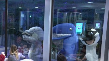 The costume of a whale by Remi Gaillard on his YouTube video ANYMAL