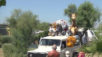 The disguise of a zebra by Remi Gaillard on his YouTube video ANYMAL