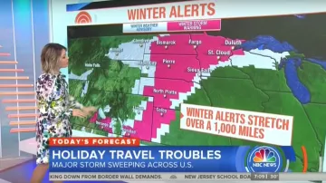 Eliza J Floral Tie Neck Dress worn by Dylan Dreyer on Today Dec. 26, 2018