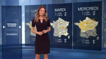 La Robe ajustée col bijou et détail résille de Gennifer Demey dans Météo (m6) du 16/01/2019