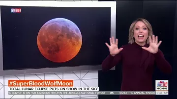 Eliza J Tie Neck Sweater Dress worn by Dylan Dreyer on Today January 21, 2019