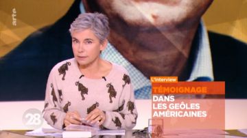 Suéter de cachemira con estampado de tigre de Elisabeth Quin en 28 minutos a partir del 16/01/2019
