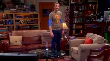 The cushion is striped on the sofa in The Big Bang Theory