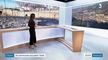 Les escarpins noir et blanc de Émilie Tran Nguyen dans le 12/13 de France 3