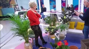 Cadenas de pantalones impresos de Sophie Davant en el programa C'est au el 06.02.2019