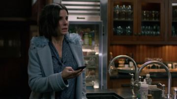 The coat of blue fur from Malorie (Sandra Bullock) in Bird Box