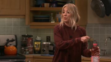 Penny's (Kaley Cuoco) Sundry Star Rimi Hoodie en The Big Bang Theory S12E15