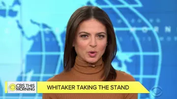 Victoria Beckham Sheer Rib Knit Turtleneck Sweater worn by Bianna Golodryga on CBS This Morning