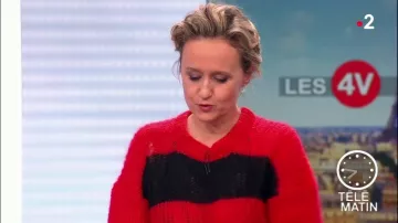 Le pull en mohair et laine mélangés, coupe ample Zadig & Voltaire de Caroline Roux dans Télématin le 20.02.2019