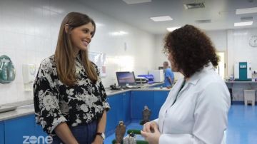 The printed shirt of Ophélie Meunier in Forbidden Zone of 06/02/2019