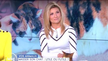 The Sweater-knit pointelle chevron Sandrine Arcizet in William noon of the 05/03/2019