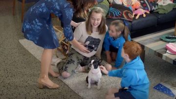 Minkpink ‘Pride of Place’ Crop worn by Danielle (Jessica Tovey) in Bad Mothers (S01E01)