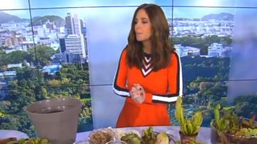 The orange robe to empiécement striped Karen Millen, Carolina Munoz in William at noon the 14.03.2019