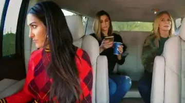 Rag & Bone Dex Cropped Argyle Crewneck Sweater worn by Herself (Nikki Bella) in Total Bellas (S04E10)