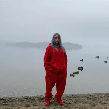 billie eilish red hoodie