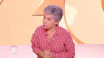 The plaid Shirt of Elisabeth Quin in 28 minutes of 27/03/2019