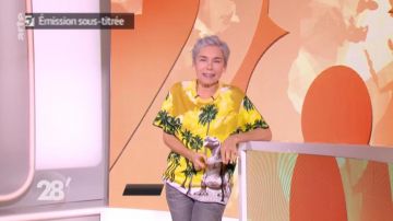 The sweater dinosaur Élisabeth Quin in 28 minutes of 15/01/2019