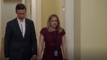 Laundry By Shelli Segal Seam Detailed Printed Cap Sleeve Dress worn by Amy Brookheimer (Anna Chlumsky) in Veep (S05E10)