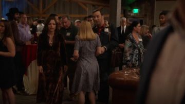 Etro Paisley Print Velvet A Line Granny Dress worn by Selina Meyer (Julia Louis-Dreyfus) in Veep (S07E02)