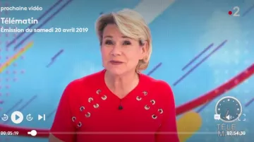 Le tee shirt à oeillets fantaisie ( dispo en gris et marine) de Nathalie Rihouet dans Télématin