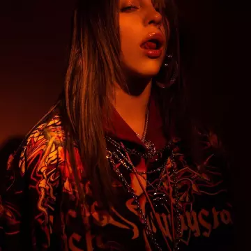 Imprimé Flamme Hoodie Sweat-shirt porté par Billie Eilish comme on le voit sur l'Instagram Compte de @Billieeilish