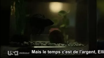 Qwerty el pez luchador de Elliot en Mr Robot