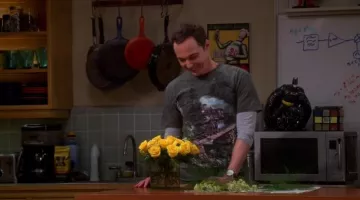 Le t-shirt The Mountain Loco 74 de Sheldon Cooper (Jim Parsons) dans The Big Bang Theory (S08E23)