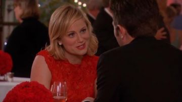Karen Millen Coloured lace dress worn by Leslie Knope (Amy Poehler) in Parks and Recreation (S05E13)
