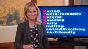 Steven Alan  Sea Polka Dot Combo T worn by Leslie Knope (Amy Poehler) in Parks and Recreation (S05E13)