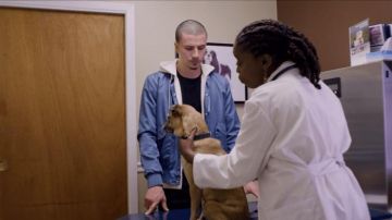 Chaqueta rompevientos azul usada por Malcolm (Solvan Naim) en It's Bruno! (S01E01)