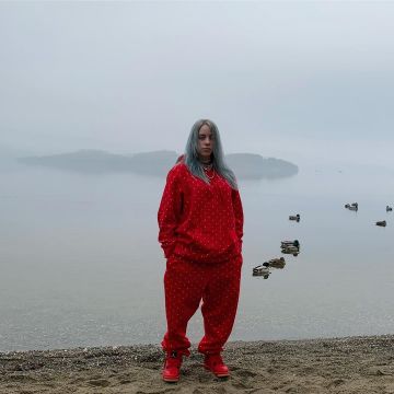 Sudadera con capucha roja Tres Rasché usada por Billie Eilish en su cuenta de Instagram