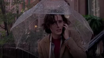 Transparent Clear Umbrella of Timothée Chalamet in A Rainy Day in New York