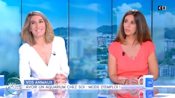 The Pull end V neck with buttons of silver of the Caroline Munoz in William at noon