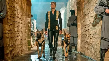 Harnais pour chien utilisé par Sofia (Halle Berry) dans John Wick: Chapitre 3 – Parabellum