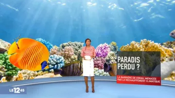 The pencil Skirt buttoned Kareen Guiock in The 12:45