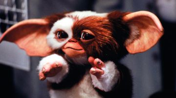 The replica plush of Gizmo in Gremlins