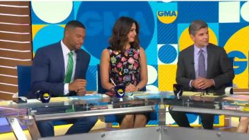 ML Monique Lhuillier Multi Floral Brodé Robe portée par Cecilia Vega sur Good Morning America juin 24,2019
