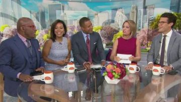 Eliza J Lace Fit & Flare Dress usado por Sheinelle Jones en Today June 18,2019