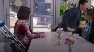 Gabriela Hearst Checked Trench Coat worn by Diana Trout (Miriam Shor) in Younger (S06E03)