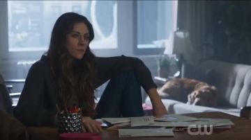 American Eagle Outfitters Cloudspun Sweater usado por Mason Murphy en In the Dark (S01E13)