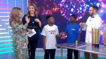 Lela Rose Pleated Long Sleeve Top worn by Jenna Bush Hager on Today JULY 4, 2019